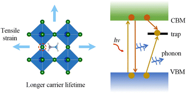 Graphical abstract: Beneficial effects of tensile strain on charge carrier lifetime in metal halide perovskites containing halogen vacancies