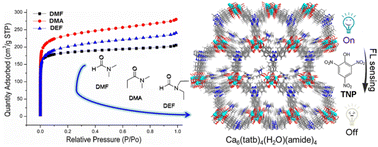 Graphical abstract: The role of terminal coordinated amides in a series of Ca-tatb frameworks: pore size regulation and fluorescence sensing tunability