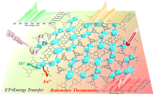 Graphical abstract: Hypersensitive ratiometric temperature sensing in a bimetallic lanthanide metal–organic framework