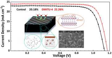 Graphical abstract: Surface pre-sacrifice behavior of thiourea-based 2D perovskites for high-performance perovskite solar cells