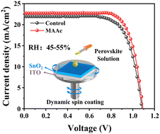 Graphical abstract: Additive-regulated one-step dynamic spin-coating for fabricating high-performance perovskite solar cells under high humidity conditions