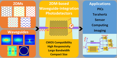 Graphical abstract: On-chip two-dimensional material-based waveguide-integrated photodetectors