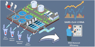 Graphical abstract: Wastewater-based surveillance of COVID-19 and removal of SARS-CoV-2 RNA across a major wastewater treatment plant in San Antonio, Texas