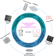 Graphical abstract: Non-enzymatic electrochemical sensors based on nanomaterials for detection of organophosphorus pesticide residues