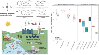 Graphical abstract: Quaternary ammonia compounds in disinfectant products: evaluating the potential for promoting antibiotic resistance and disrupting wastewater treatment plant performance