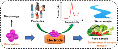 Graphical abstract: Metal oxide-based electrochemical sensors for pesticide detection in water and food samples: a review