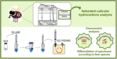 Graphical abstract: Discrimination of Diptera order insects based on their saturated cuticular hydrocarbon content using a new microextraction procedure and chromatographic analysis
