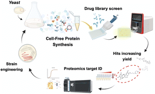 Graphical abstract: Engineering cell-free systems by chemoproteomic-assisted phenotypic screening