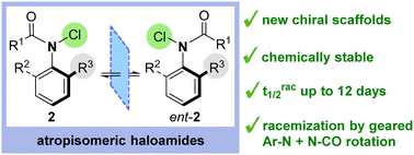 Graphical abstract: Synthesis, structure and stereodynamics of atropisomeric N-chloroamides