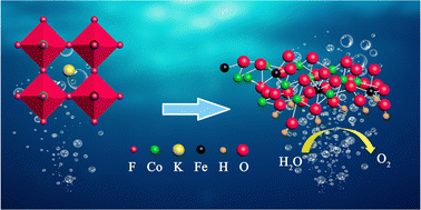 Graphical abstract: Easy conversion perovskite fluorides KCo1−xFexF3 for efficient oxygen evolution reaction