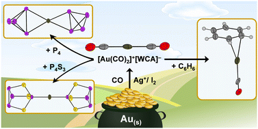 Graphical abstract: Gold carbonyl cations and beyond: homoleptic gold(i) complexes with P4 and P4S3 and the half-sandwich cation [Au(C6H6)(CO)]+