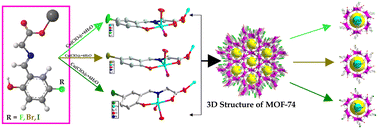 Graphical abstract: Construction of MOF-74 analogues through pre-installation of functional ligands: efficient directional functionalization and properties