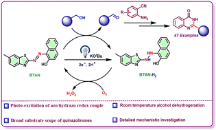 Graphical abstract: Photochemical dehydrogenative transformation to heterocycles facilitated by an azo/hydrazo redox couple