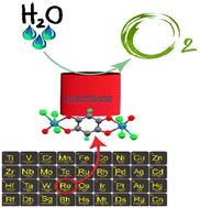 Graphical abstract: Electrochemical water oxidation reaction by dinuclear Re(v) oxo complexes with a 1,4-benzoquinone core via the redox induced electron transfer (RIET) process