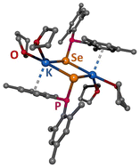 Graphical abstract: Coordination chemistry of alkali metal dimesityl-thio- and dimesityl-selenophosphinites [(L)2A-EPMes2]2 (A = Li, Na, K; E = S, Se; L = THF, THP) and [(18C6)K-SPMes2]