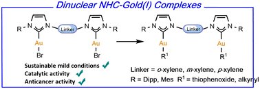 Graphical abstract: Dinuclear NHC–gold(i)–thiolato and –alkynyl complexes: synthesis, anticancer activity, and catalytic activity in lactonization reactions