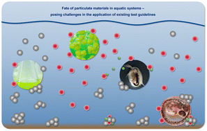 Graphical abstract: Practical considerations to optimize aquatic testing of particulate material, with focus on nanomaterials