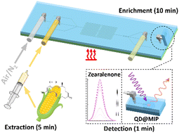Graphical abstract: Development of a microfluidic device to enrich and detect zearalenone in food using quantum dot-embedded molecularly imprinted polymers