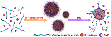 Graphical abstract: Photofabrication of fluorescent nanospheres from de novo designed peptides, and their enzyme-responsive dissociation in living cells