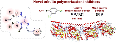 Graphical abstract: Recognition of arylmethylidene derivatives of imidazothiazolotriazinones as novel tubulin polymerization inhibitors