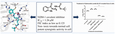 Graphical abstract: Design, synthesis and antibacterial activity evaluation of ebselen derivatives in NDM-1 producing bacteria