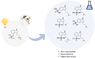 Graphical abstract: Synthesis and bioactivity of psilocybin analogues containing a stable carbon–phosphorus bond