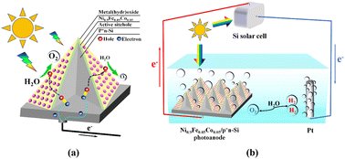 Graphical abstract: Advances and challenges in the modification of photoelectrode materials for photoelectrocatalytic water splitting