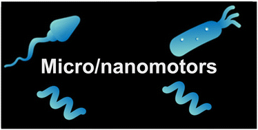Graphical abstract: Intelligent micro/nanorobots based on biotemplates