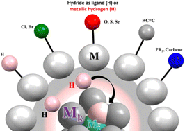 Graphical abstract: Hydride-doped coinage metal superatoms and their catalytic applications