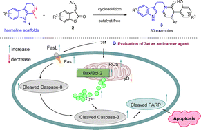 Graphical abstract: Design, synthesis and evaluation of structurally diverse polycyclic harmaline scaffolds as anticancer agents