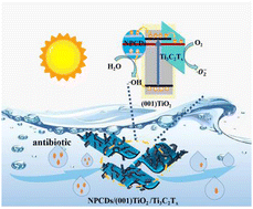 Graphical abstract: Nitrogen and phosphorus co-doped carbon point modified 2D/2D (001)TiO2/Ti3C2Tx heterostructures for highly efficient photocatalytic degradation of antibiotics in water
