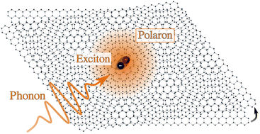 Graphical abstract: Polaron-induced changes in moiré exciton propagation in twisted van der Waals heterostructures