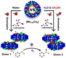 Graphical abstract: Solvent-modulated assembly of peptide and cerium functionalized gigantic {Mo120Ce6}2 dimers for high-efficiency photocatalytic oxidation