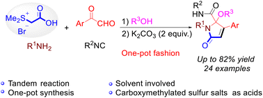 Graphical abstract: Solvent-involved synthesis of pyrrolidin-5-one-2-carboxamides via a sequential Ugi/olefination reaction