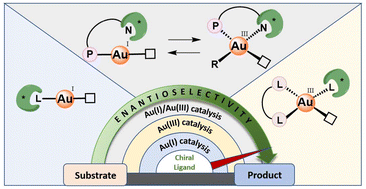 Graphical abstract: Asymmetric gold catalysis enabled by specially designed ligands