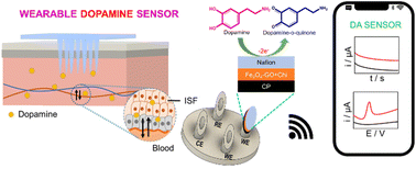 Graphical abstract: Biopolymer-protected graphene-Fe3O4 nanocomposite based wearable microneedle sensor: toward real-time continuous monitoring of dopamine