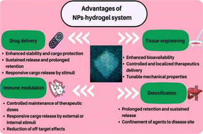 Graphical abstract: Nanoparticles incorporated hydrogels for delivery of antimicrobial agents: developments and trends