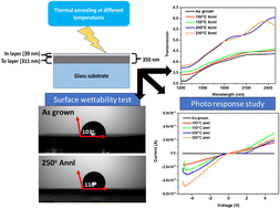 Graphical abstract: Tuning in optoelectronic properties of In/Te bilayer heterostructure upon annealing at different temperatures: surface wettability and photo response study for photonic and solar cell applications