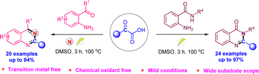 Graphical abstract: Electrochemical oxidative decarboxylative of α-oxocarboxylic acids towards the synthesis of quinazolines and quinazolinones