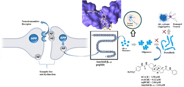 Graphical abstract: Pregnenolone derivatives for the treatment of Alzheimer's disease: synthesis, and in vitro inhibition of amyloid β1–42 peptide aggregation, acetylcholinesterase and carbonic anhydrase-II