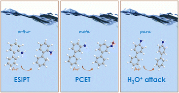 Graphical abstract: Excited-state antiaromaticity relief drives facile photoprotonation of carbons in aminobiphenyls