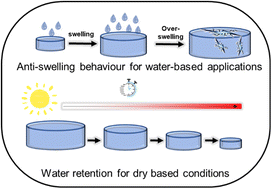 Graphical abstract: Cellulose nanocrystal-mediated enhancement of hydrogel anti-swelling and water retention