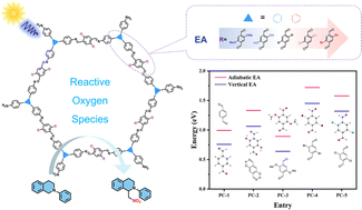 Graphical abstract: Functional group substitution strongly influences the performances of covalent organic frameworks in the photocatalytic metal-free oxidase reaction