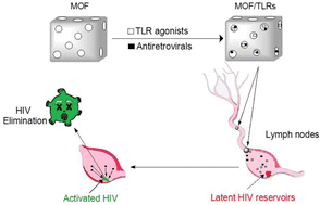 Graphical abstract: Biocompatible metal–organic frameworks as promising platforms to eradicate HIV reservoirs ex vivo in people living with HIV