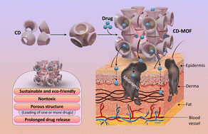Graphical abstract: Synergistic applications of cyclodextrin-based systems and metal–organic frameworks in transdermal drug delivery for skin cancer therapy