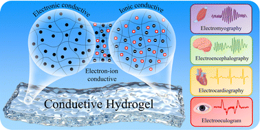 Graphical abstract: The latest research progress of conductive hydrogels in the field of electrophysiological signal acquisition