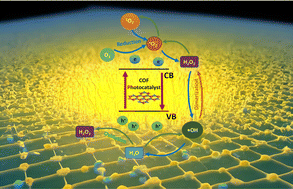 Graphical abstract: Porous covalent organic frameworks in photocatalytic ROS-mediated processes