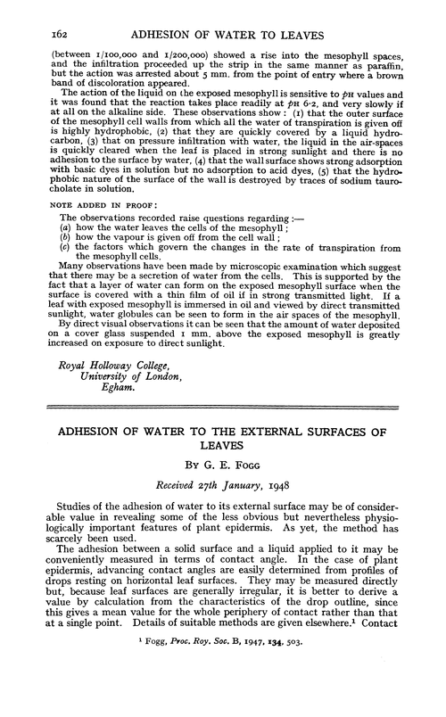 Adhesion of water to the external surfaces of leaves