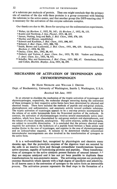 Mechanism of activation of trypsinogen and chymotrypsinogen