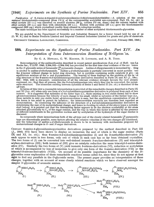 184. Experiments on the synthesis of purine nucleosides. Part XIV. An interpretation of some interconversion reactions of N-glycosides
